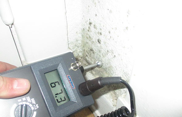 Leckageortung und Schimmelbeseitigung durch SPEIDEL System Trocknung GmbH